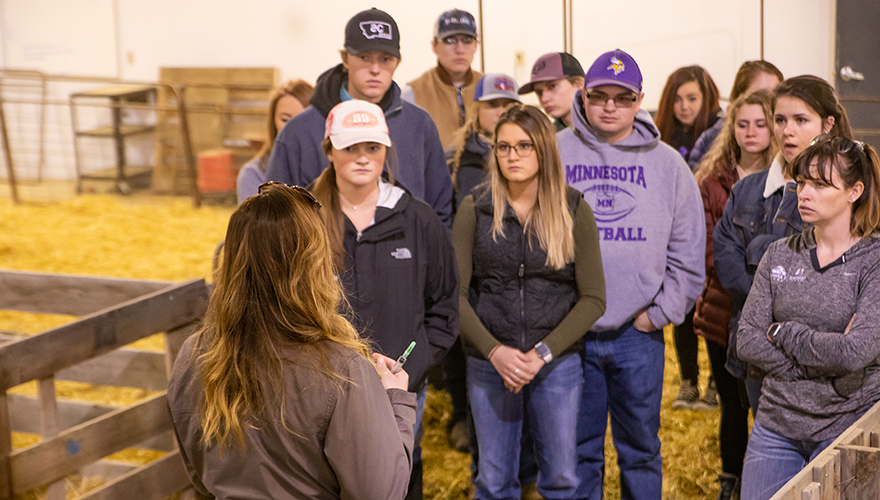 Female instructor standing in front of students between pig pens inside a barn