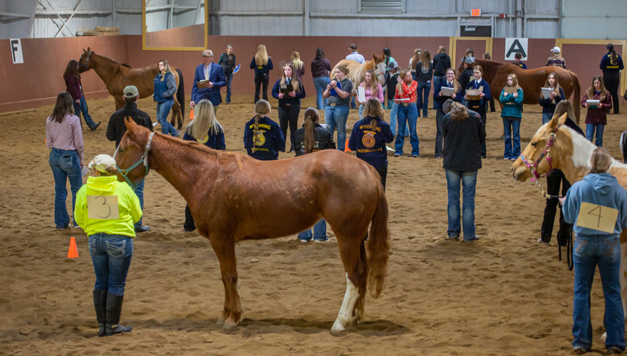 A large group of students and horses inside the NWC Equine Center