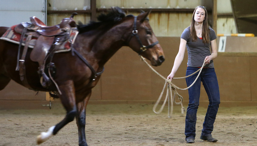 Female student leading a horse in an indoor riding arena