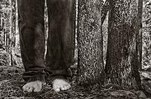 bare feet beside tree