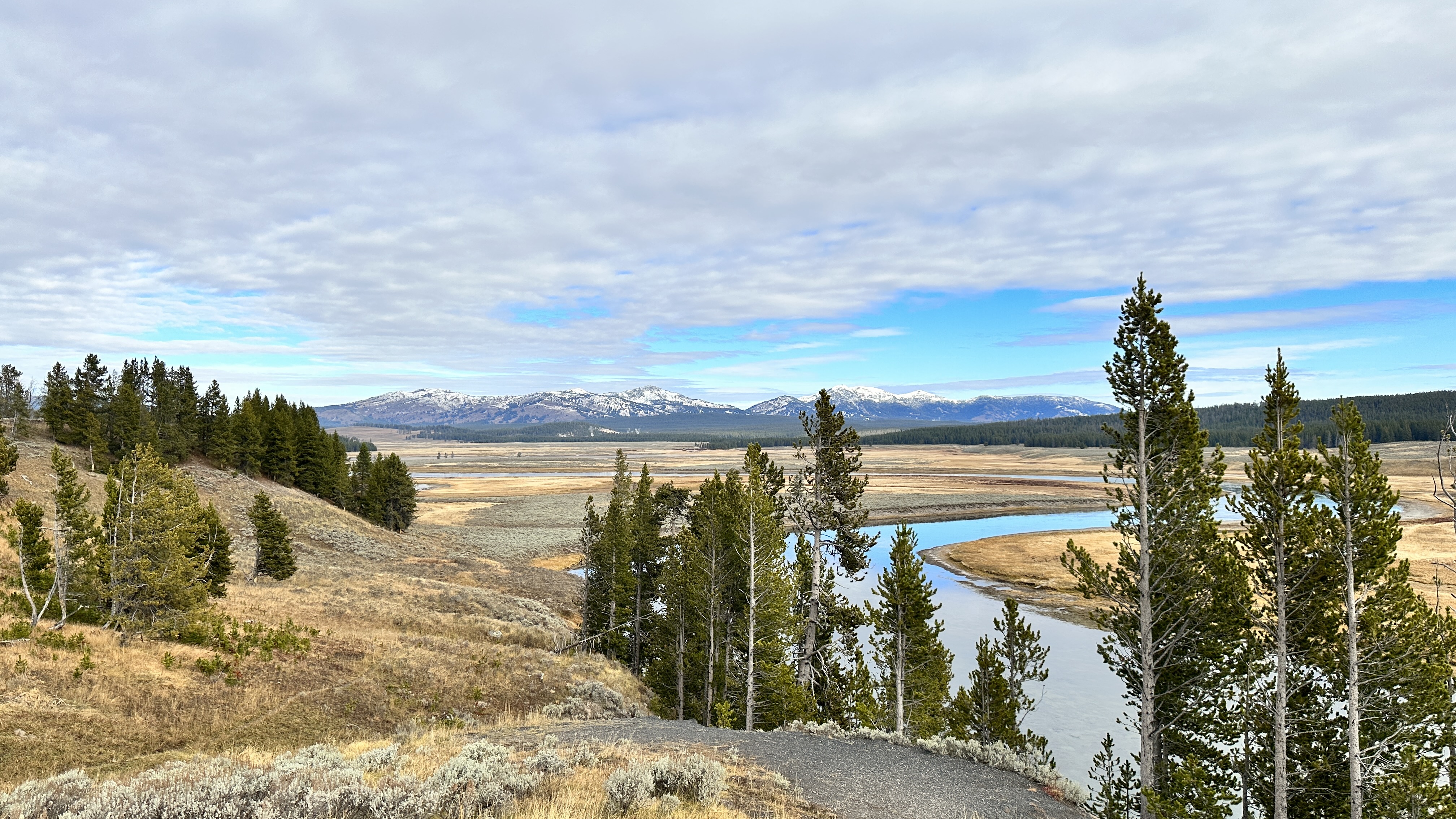 Hayden Valley in Yellowstone