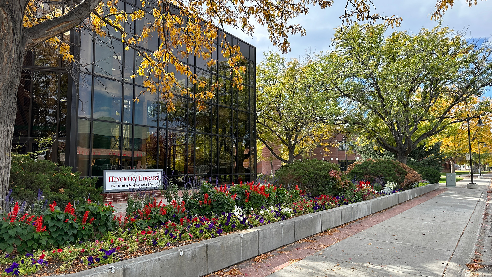 Outside of Hinckley Library in the fall with flowers blooming under a tree with yellow leaves