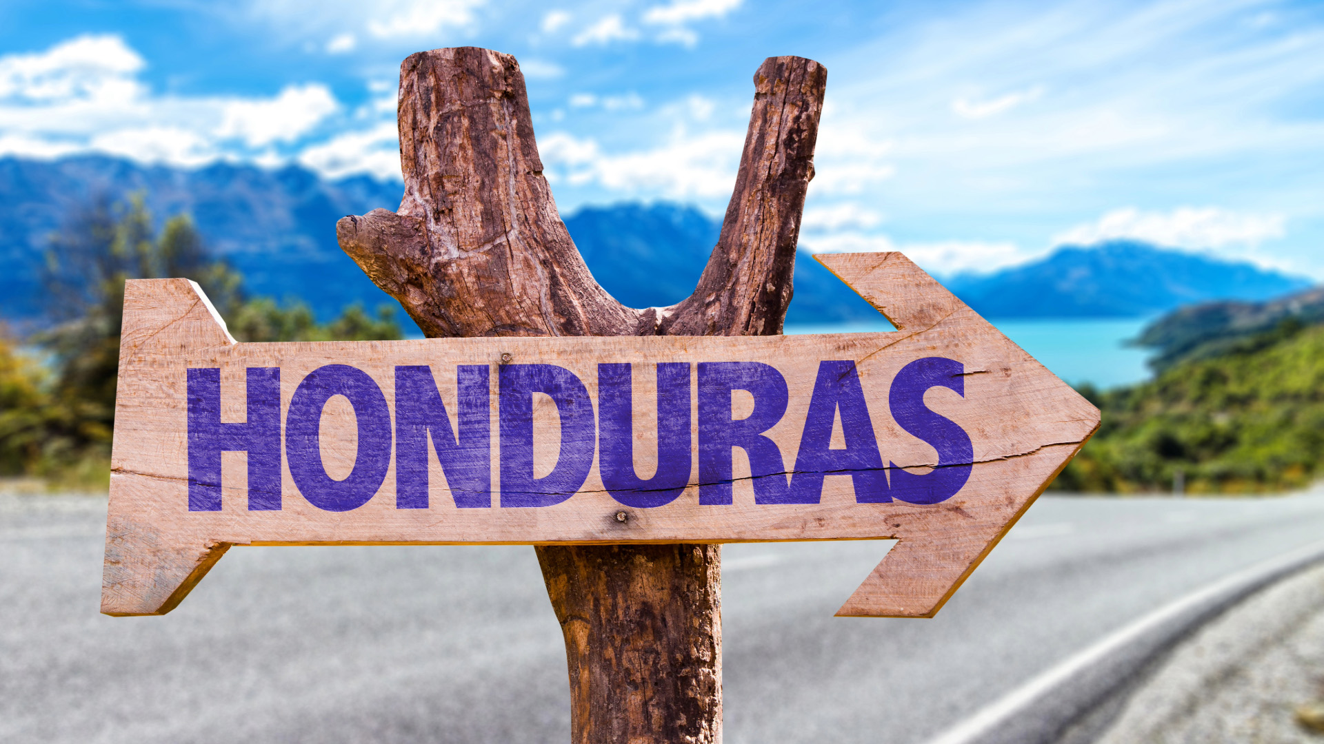 A small forked tree next to a road with a painted wooden arrow saying Honduras and mountains and water in the background